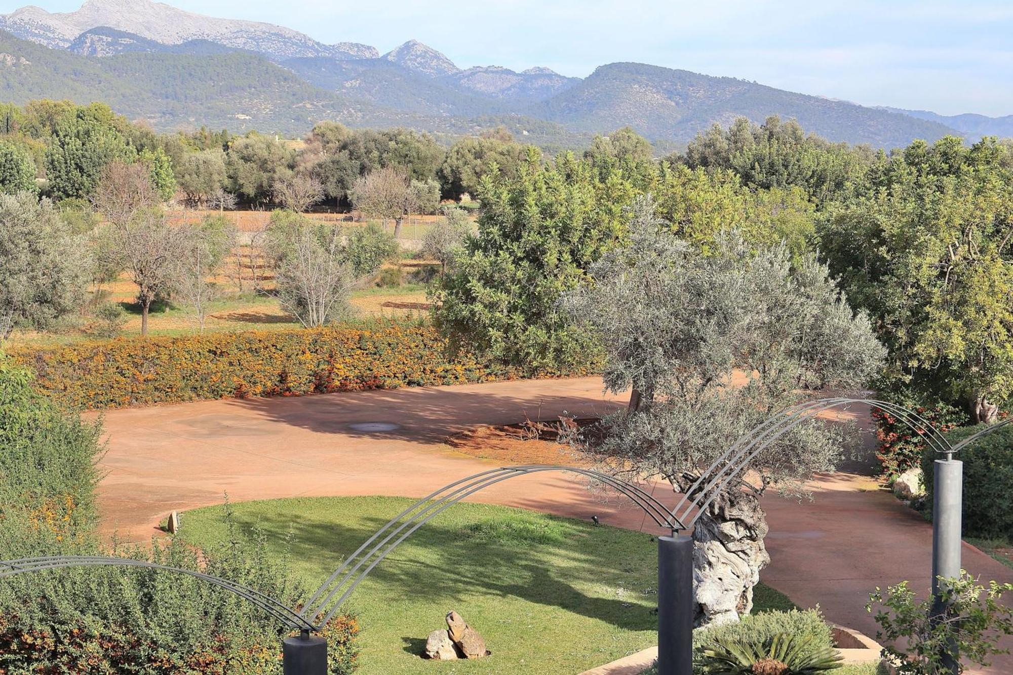 151 Villa Es Triquet Et3366 By Mallorca Charme Binissalem Dış mekan fotoğraf